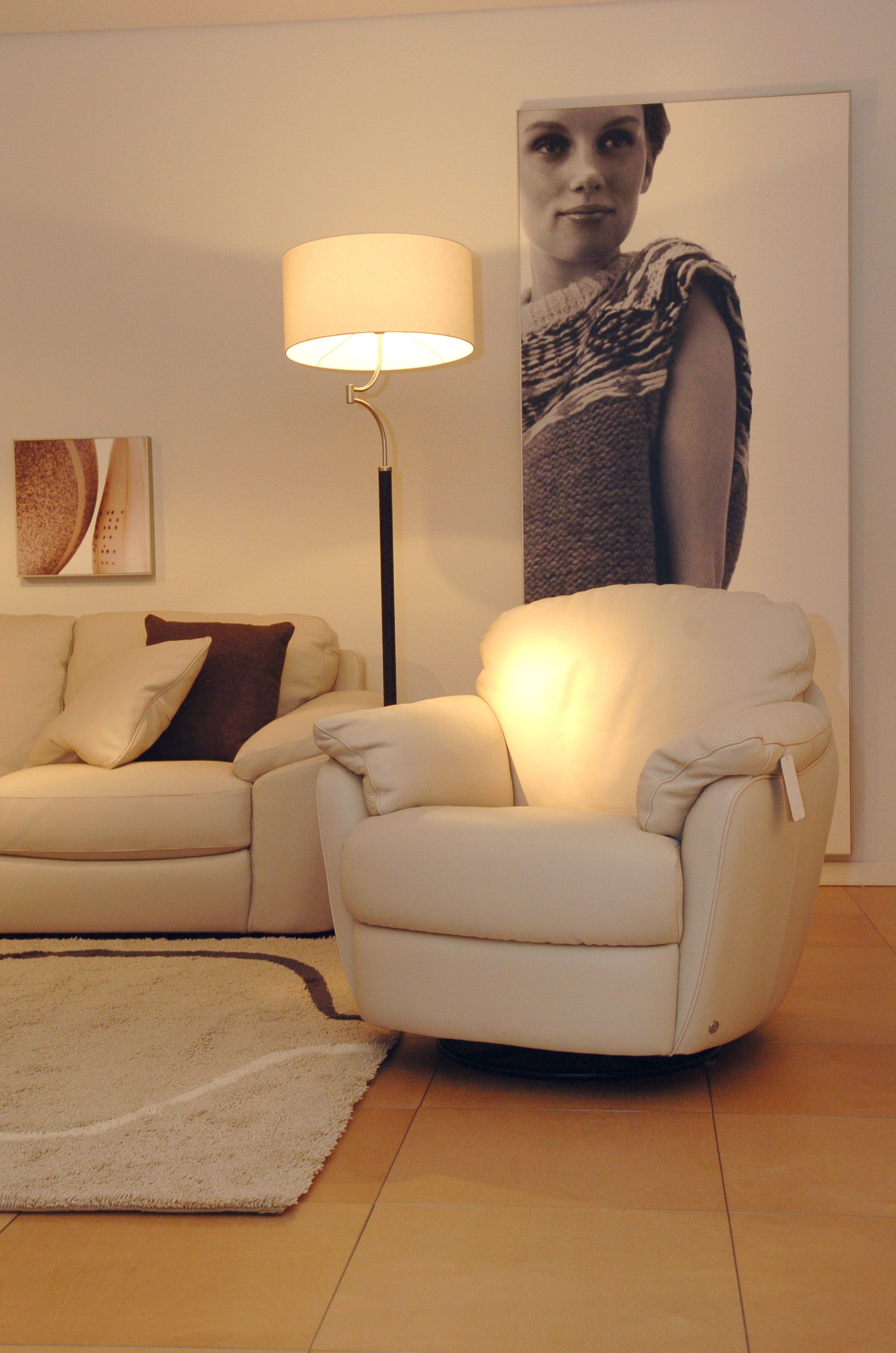 Natuzzi store Vincents